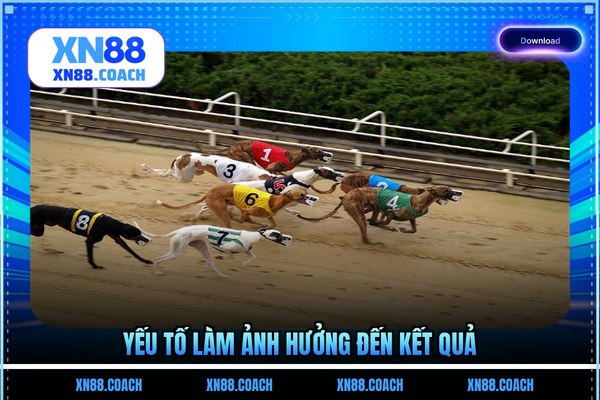 Yếu tố làm ảnh hưởng đến kết quả Yếu tố làm ảnh hưởng đến kết quả